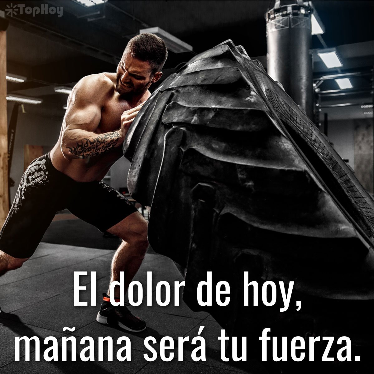 frases para el gimnasio Motivación para hacer ejercicios FOTOS