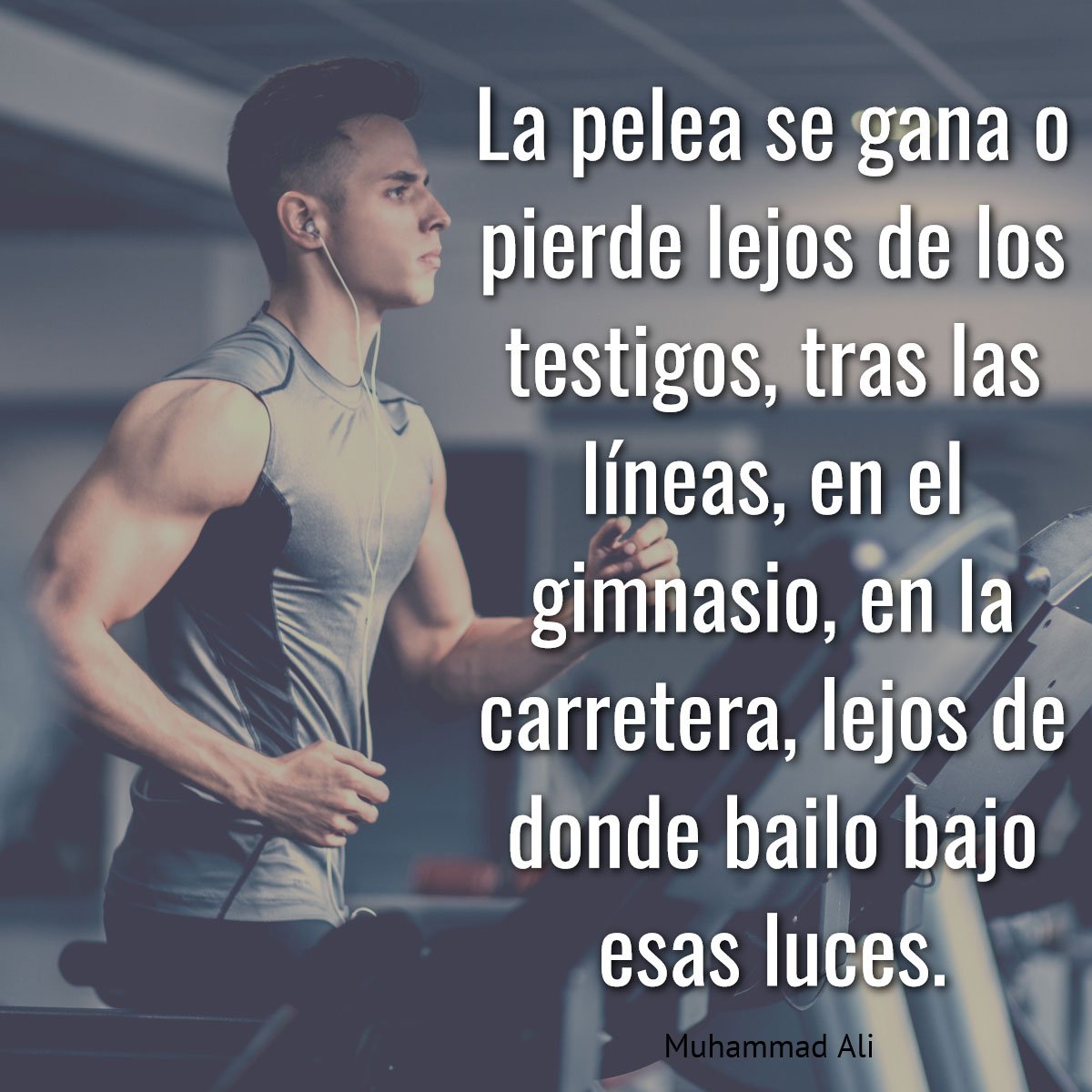 Frases Para El Gimnasio Tophoy