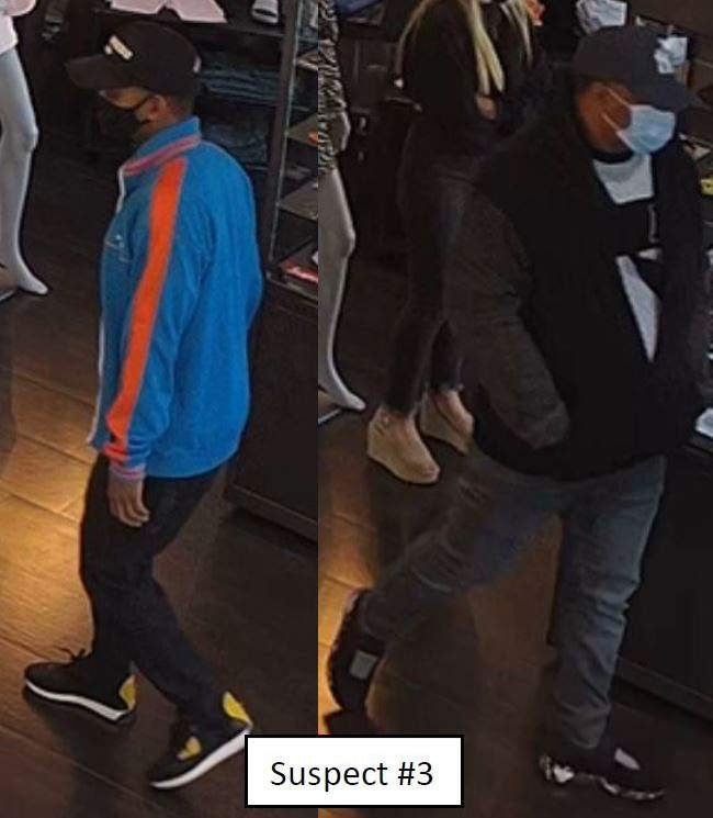 Buscan a ladrones que robaron en tiendas de lujo en Fort Lauderdale 15