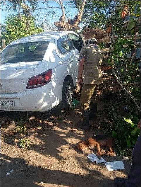 Fallece conductor cubano tras accidente de tránsito 5