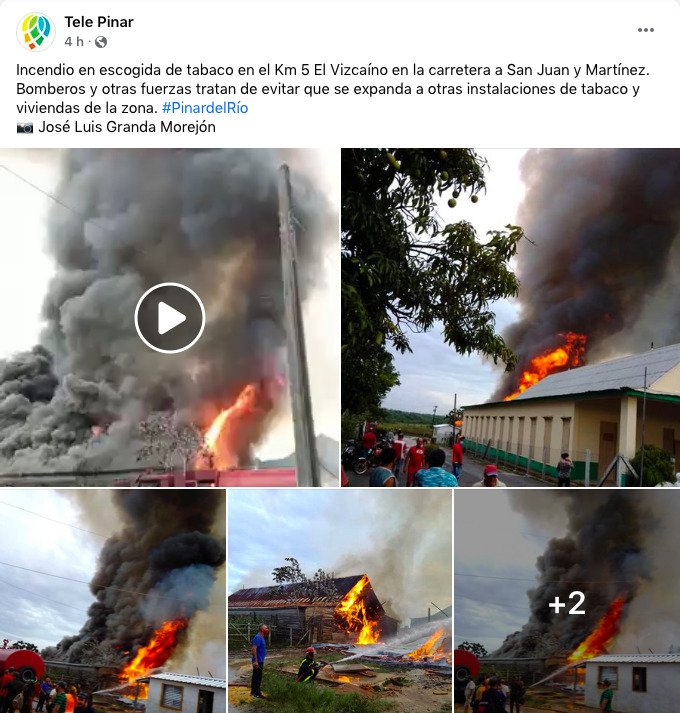 Voraz incendio consume casa de escogida de tabaco en Pinar del Río 30
