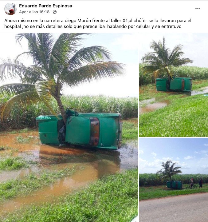Almendrón choca contra una palmera en Ciego de Ávila 10