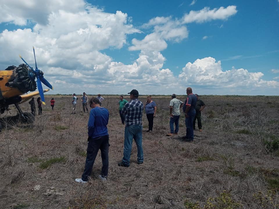 Piloto cubano sobrevive a accidente aéreo en Sancti Spíritus: "No sentí miedo al caer" 11