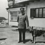 Adolf-Hitler-perro